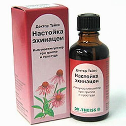 Настойка эхинацеи от герпеса
