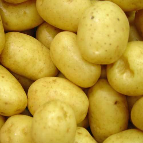 Картофельная кашица от шипицы