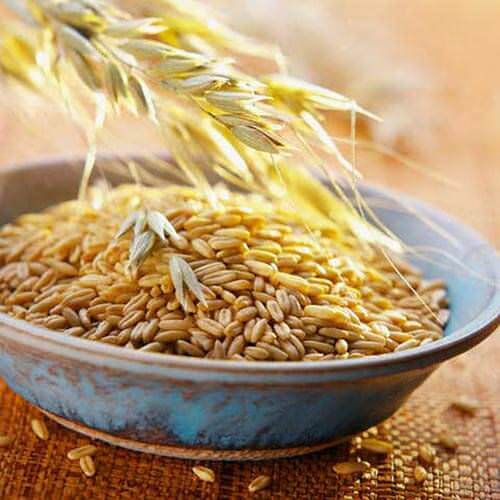 Овес для бросания курения