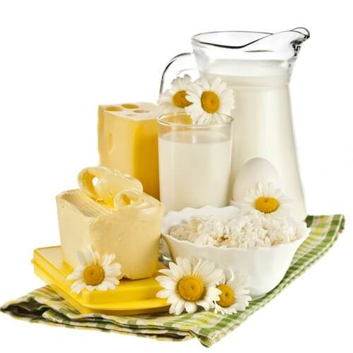 Продукты богатые кальцем при переломе ребра