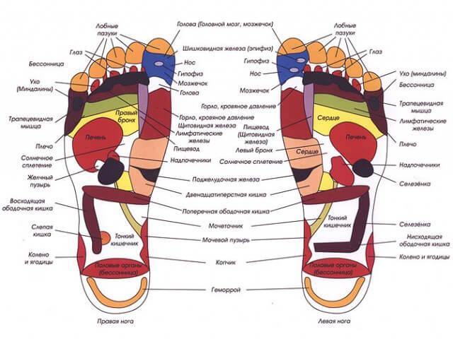 Зоны для массажа на стопах