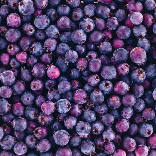 Полезные свойства ирги 