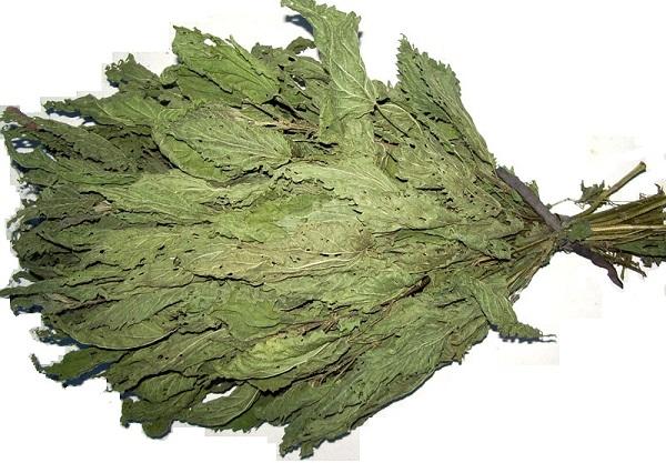 Веник из крапивы для бани