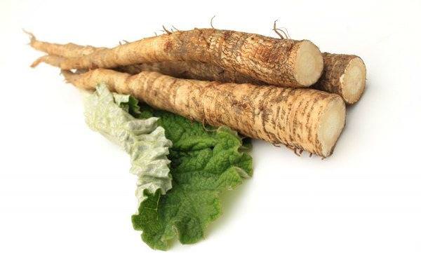Лечение корнем лопуха