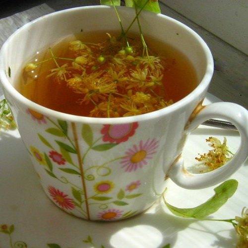 Польза липового чая 