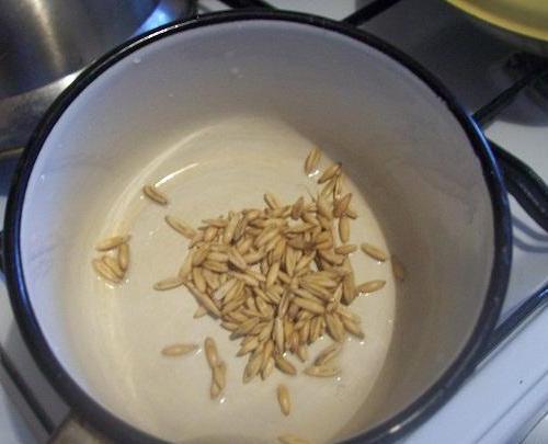 Завариваем и лечимся овсом 