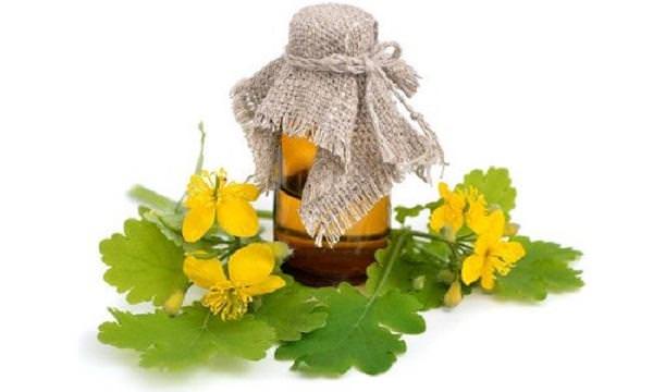 Чистотел как применять 