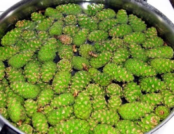 Ванны для ног из сосновых шишек