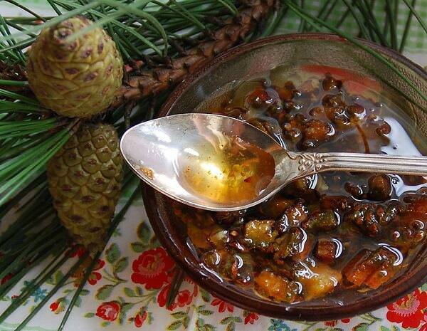 Варенье из сосновых шишек