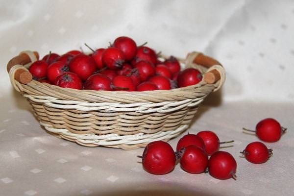 Настой из боярышника для мужского здоровья