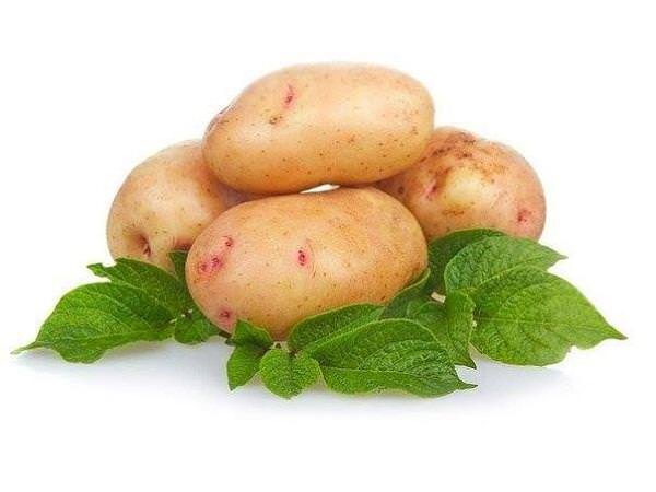 Картофель