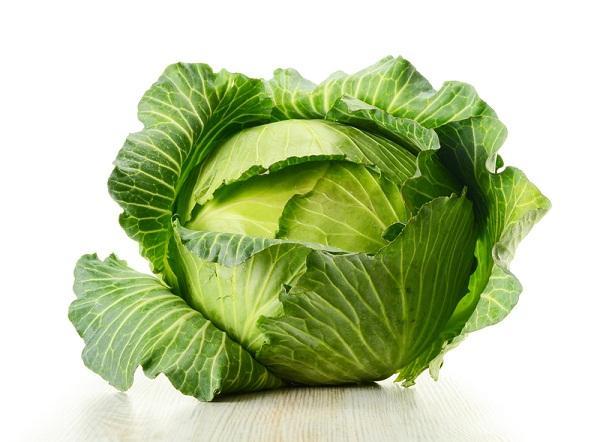 Лечение геморроя капустой