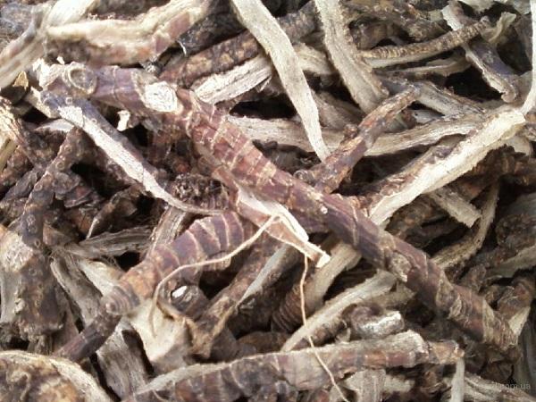 Настой из стеблей (листьев)