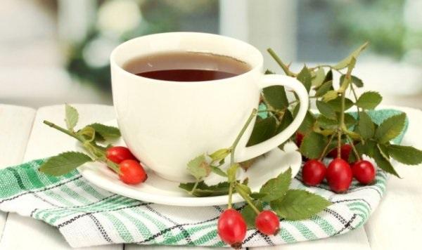 Отвар из шиповника для печени