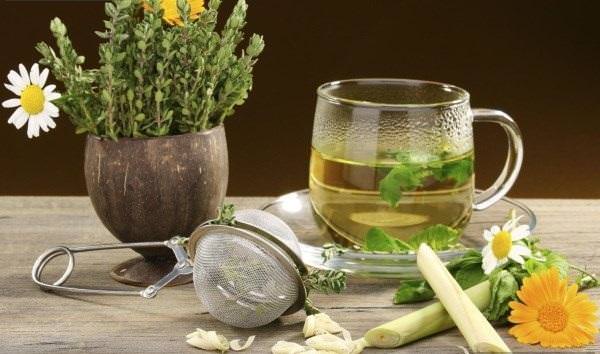 Шалфей и липа для зачатия