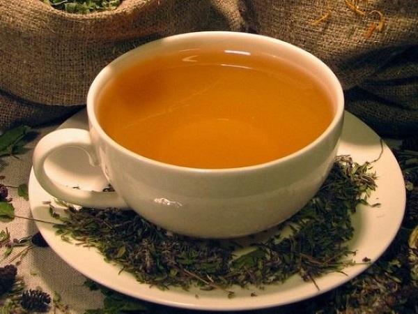 Отвар из красной щетки
