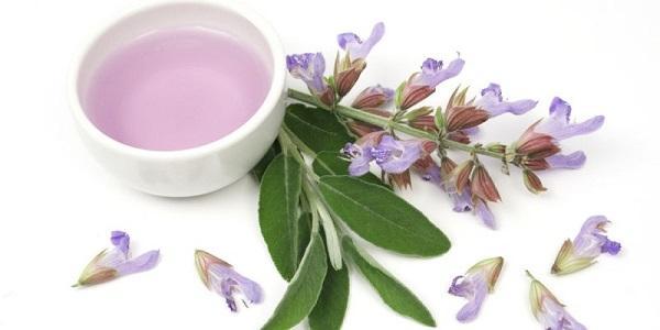 Спринцевания шалфеем при молочнице