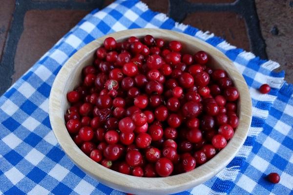 Заморозка ягод брусники