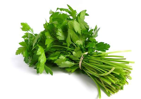 Экстракт петрушки при сахарном диабете