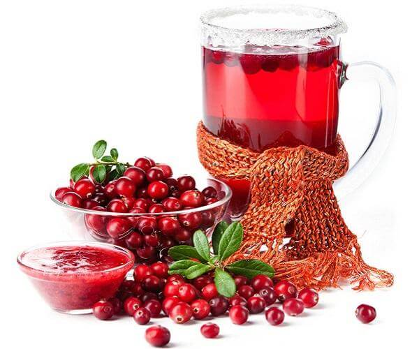 Целебные свойства брусники