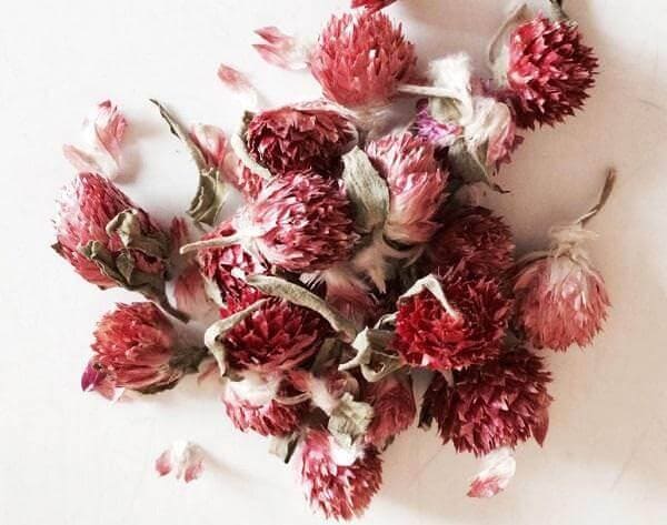 Заготовка и хранение клевера