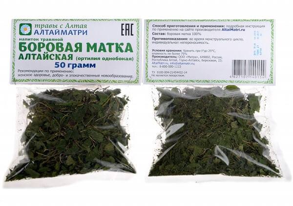 Боровая матка для мужчин противопоказания