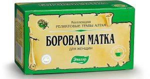 Лечебные свойства боровой матки для женщин