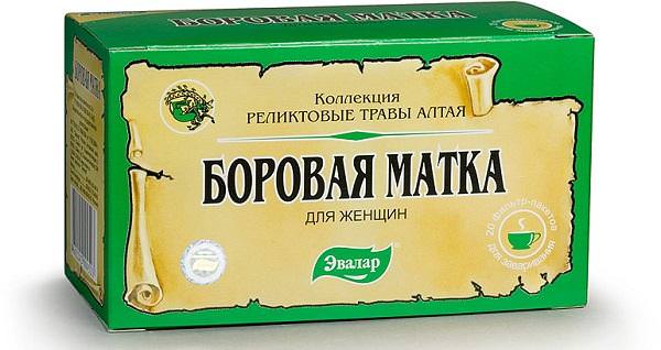 Боровая матка лечебные свойства для женщин