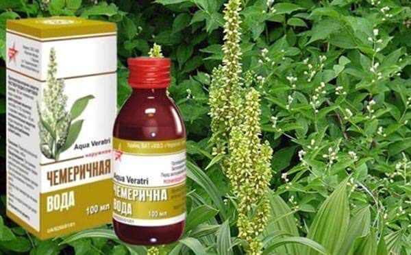 Растения Чемерицы