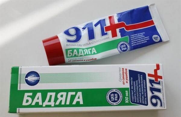 Бодяга