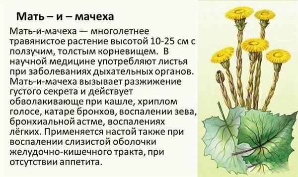 Свойства