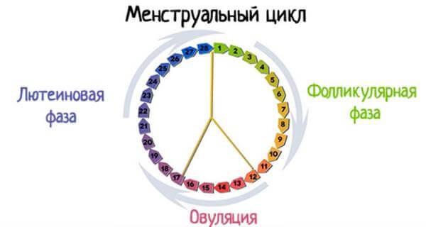 Выход из фолликулы