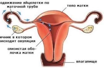 Когда происходит