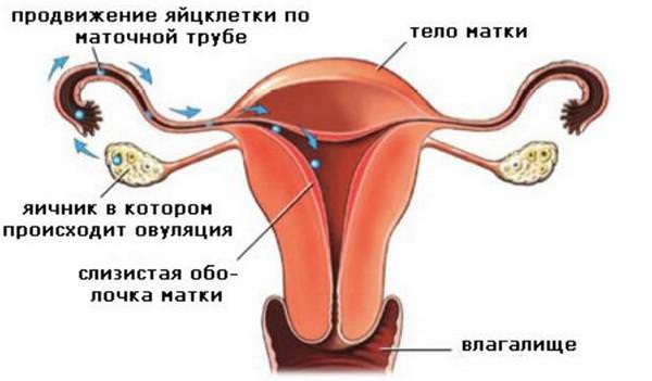 Когда происходит