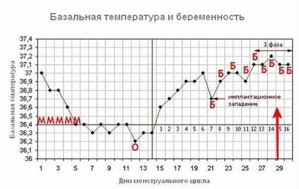 Как построить
