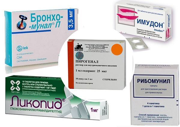 Бактерии