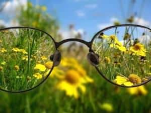 Травы для улучшения зрения