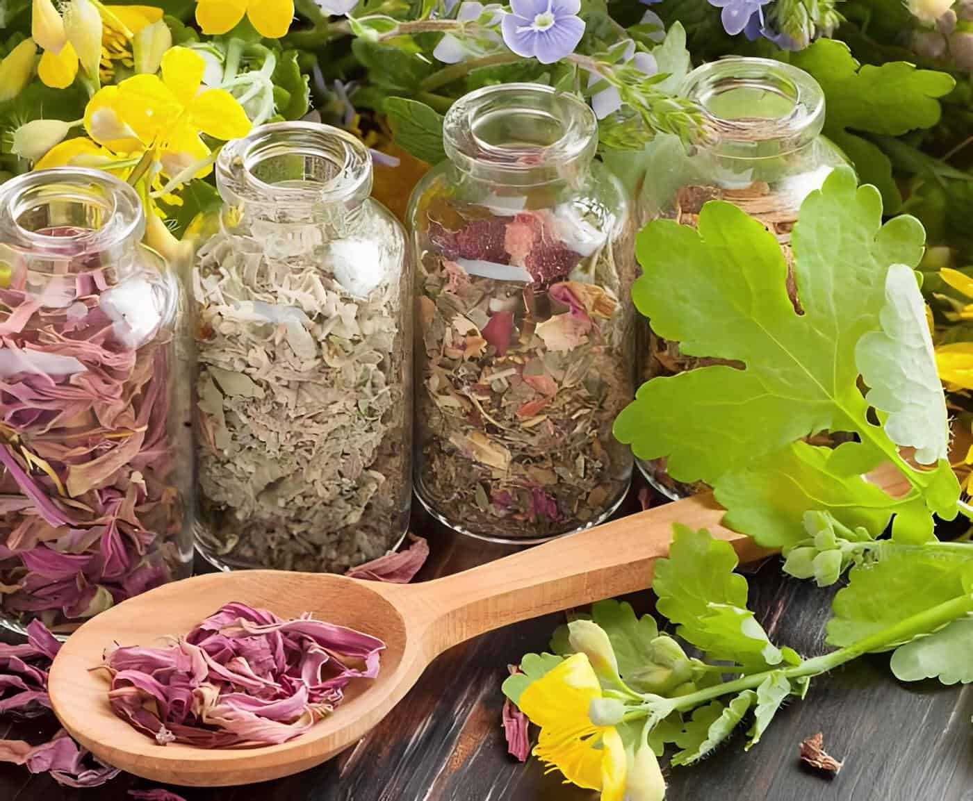 Лечение болезней сердца травами и народной медициной